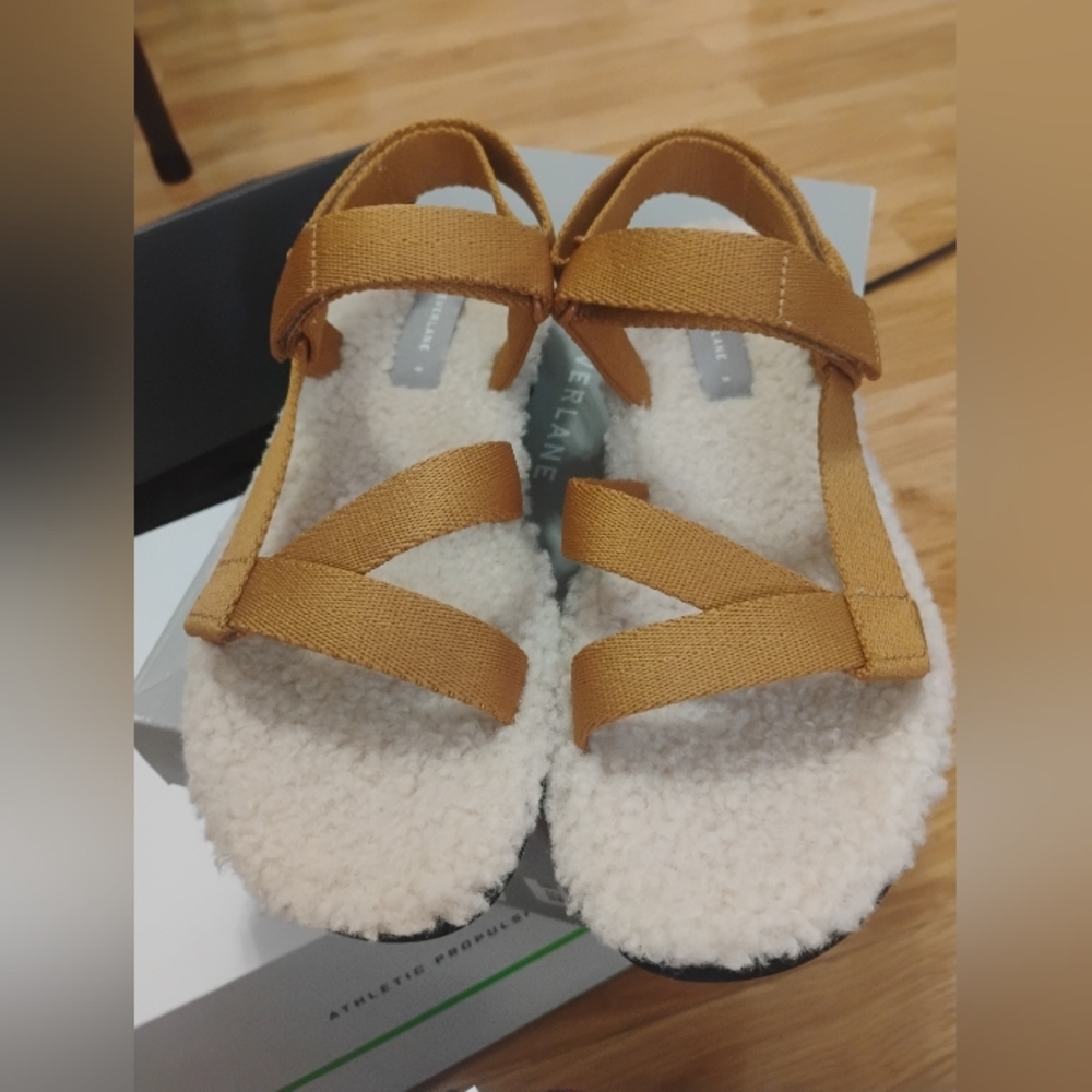 Everlane Teddy Sandal